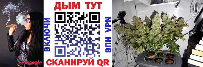 Где купить наркотики Альметьевск МАРИХУАНА  АМФ  Гашиш 