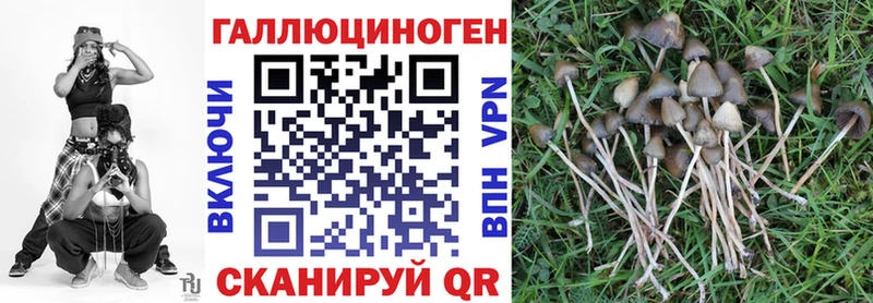 маркетплейс формула  наркотики  Альметьевск  Псилоцибиновые грибы Psilocybe  блэк спрут ONION 