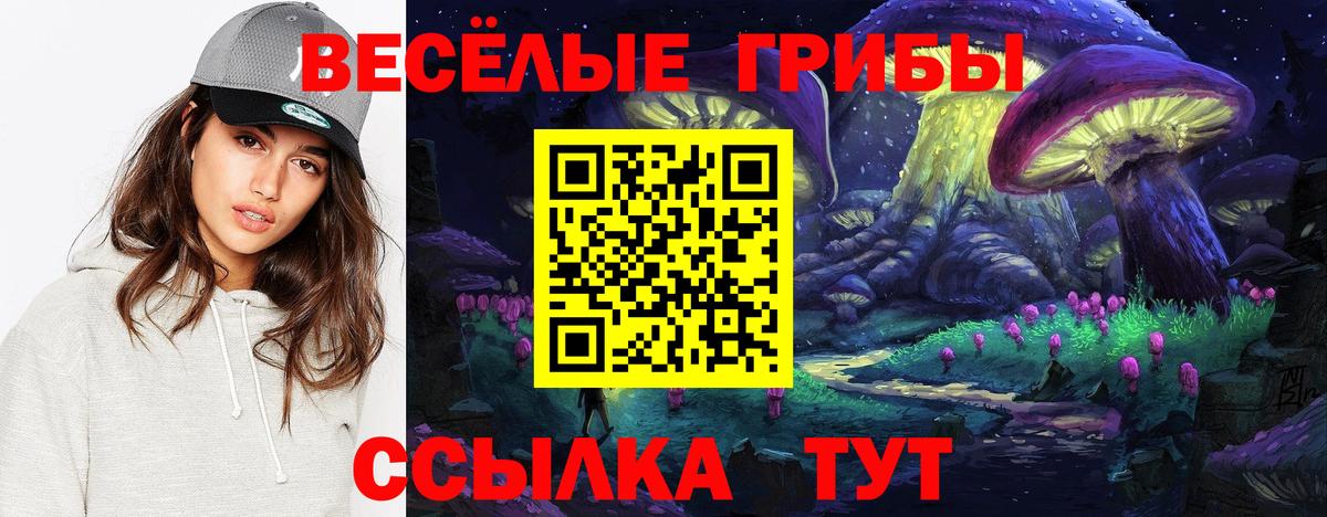 Псилоцибиновые грибы GOLDEN TEACHER Альметьевск